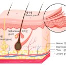 이화뷰의원 네이버블로그