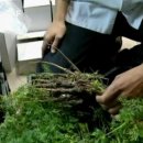 상훈농장 이미지