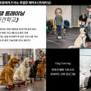 라바호텔 이미지