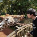 한끼세끼 이미지