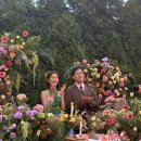 재환축사 이미지