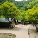 소백산국립공원 남천야영장 이미지