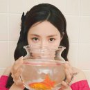 제이제이리조트 이미지