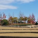 순천만국가정원 이미지