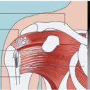 탑영상의학과의원 이미지