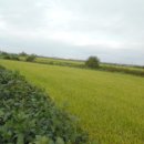 강문리마을회관 이미지