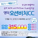 오션비치 이미지