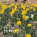 이기대수변공원 안내 | 부산 오륙도 수선화 절정 실시간 | 해맞이공원 오션뷰 포토존 주차