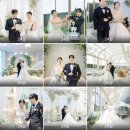 (주)디자인스튜디오더씨엘 | 대전 본식 스냅 스튜디오해든 계약후기 (짝꿍코드 개인페이백O)