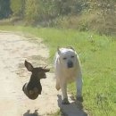 청하보석사우나 이미지