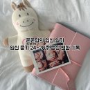 인스타툰 하루4컷 일상일기 | 쫀쫀맘의 임신 일기 | 임신 중기 24-28주 증상 변화 기록