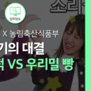 디바걸스