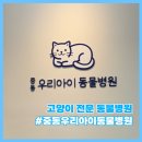 우리아이동물병원 | 중동우리아이 동물병원 | 부천 동물병원 추천 | 고양이 건강검진