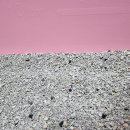 묘감 | [3묘 사용 후기]바잇미 제로더스트 벤토나이트 , 다묘가정 추천 모래