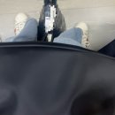 수인농원 | SEP OF 2025