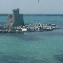 등대가 보이는 집 이미지