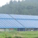 선은태양광발전소 이미지