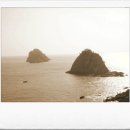 오륙도중학교 이미지