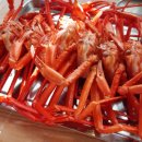 고가네영덕대게 | 구미 옥계 맛집 고가네 영덕대게 무한리필