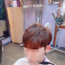 신조헤어클럽