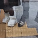러브펫 | #12월 홈카페 일기