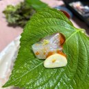 홍제종합어시장 | [맛집] 신선한 활어회, 홍제종합어시장 포장 후기