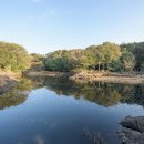 동백민박 이미지