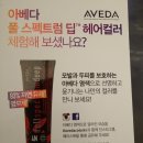 루헤어 이미지