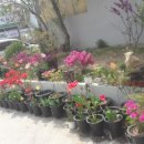 삼도자동차정비 이미지