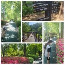 신정호수공원-2 이미지