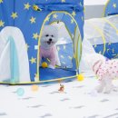 퍼피스프링 이미지