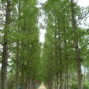 큰빛자연생태어린이집 이미지