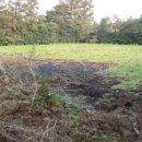 시흥리-4 이미지