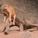 드림에듀학원 이미지