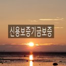 환일행정사 사무소 이미지