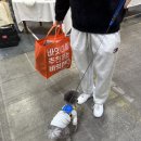 (주)씽크라이크펫 이미지