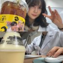보연식당 | 진검/영상/호흡/알감을 끝내며..(어려운 학기의 개꿀과목 바이..)