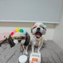 끌리네오