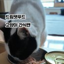 호두 펫푸드 이미지