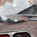 서부식당 | 대구 서구 비산동 횟집 맛집 서부시장 정동진회도매수산식당