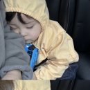 프레드피자 이미지