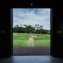 신흥목장 이미지