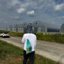 익산원예농협하나로마트 | 포도 7종 테이스팅. 갑기회관 비빔밥, 익산원예농협 하나로마트 로컬푸드, 길명반점, 익산역 전북농특산물