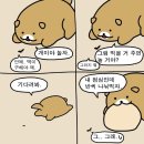 순진한 강아지 이미지