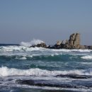 바다어시장 이미지