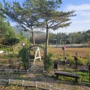 구름위의 테라스 1 이미지