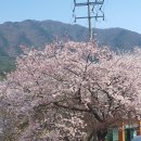 중담1주차장 이미지