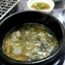 싱싱오동도