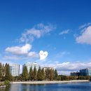 메종리브르 이미지