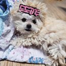 엠엔바이오 이미지